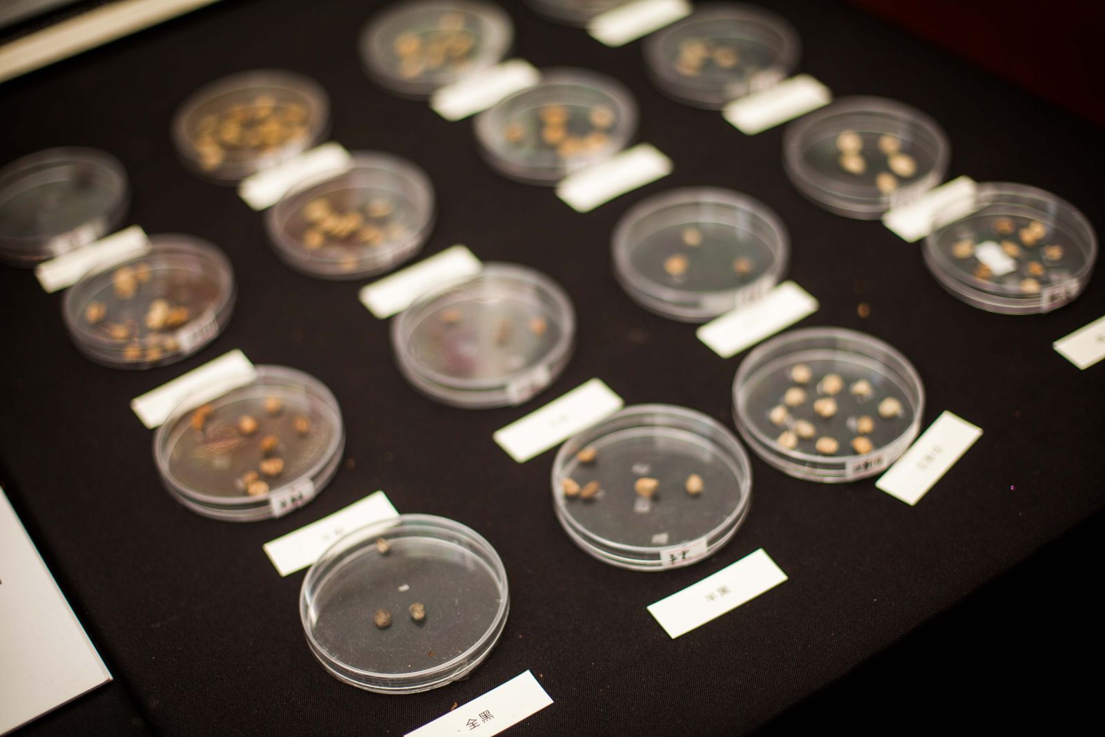 【案例】（廈門）2013咖啡生活集 杭州會議服務,杭州會議旅游,杭州會議場地,杭州會議接待,杭州伍方會議服務有限公司